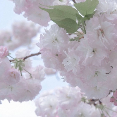 兽设Q版设计实用教程兽圈社群